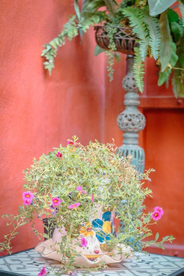 Flatguest Casa Del Sol - Terrace - Parking Vakantiehuis